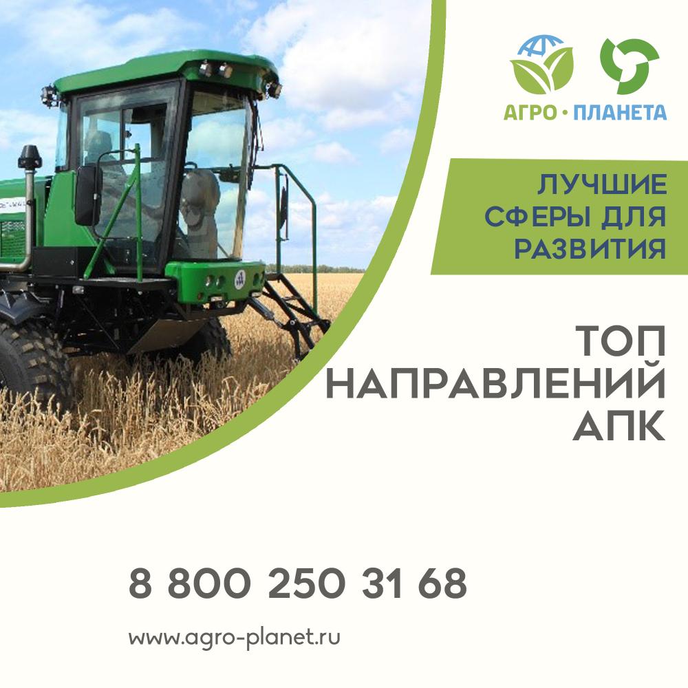 Топ направлений АПК с господдержкой в 2024 году: Новые перспективы для российских аграриев